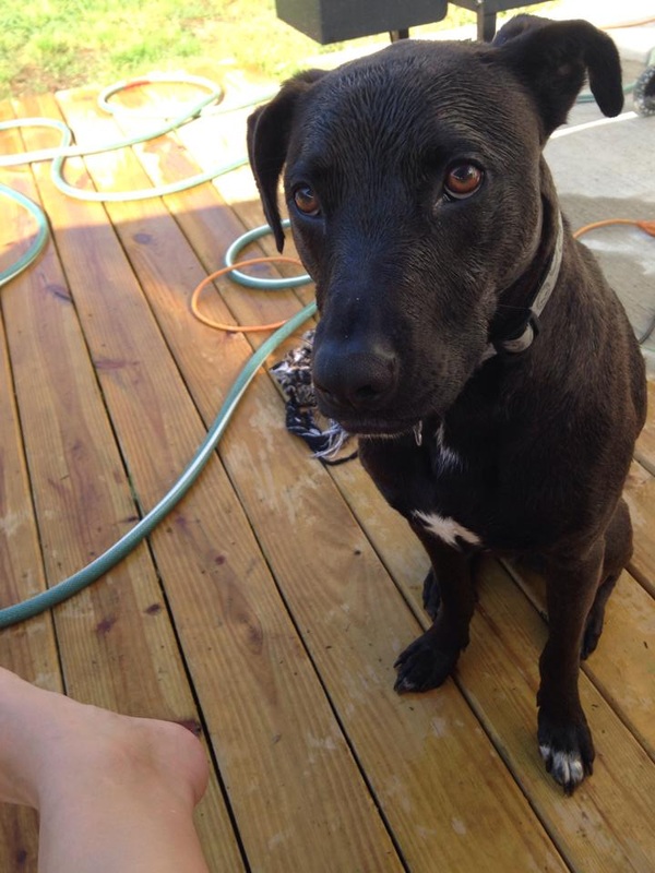 Rosko1yearlater
